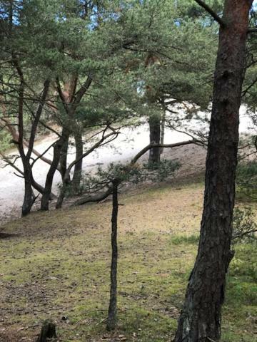 Apartament Ustecka Ostoja Na Wydmie Ustka Buitenkant foto